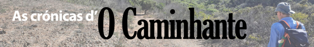 Sul Informação - Fixo — Bloco Opinião