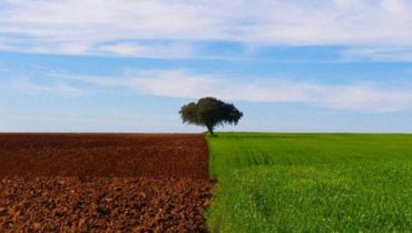 agricultura
