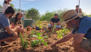 workshop-floresta-comestivel-festival-agroecologia-e-artes (1) (1)